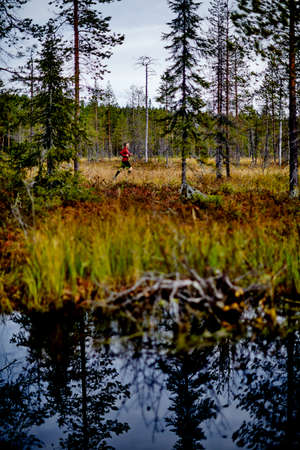 Man trail running in forest, Kesankitunturi, Lapland, Finlandの写真素材