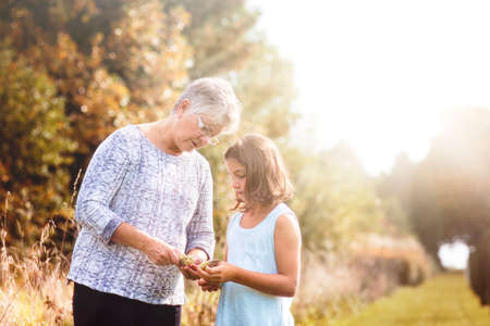 Grandmother showing granddaughter the seeds inside of a milkweed podの写真素材