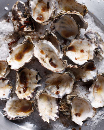 Oyster shells on sea saltの写真素材