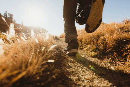 Legs of male hiker hiking on dirt track, Mineral King, Sequoia National Park, California, USAの写真素材