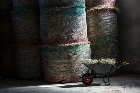 Wheelbarrow and haystacks in farm barnの写真素材