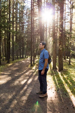 Senior male hiker standing in sunlit forest, Canmore, Alberta, Canada