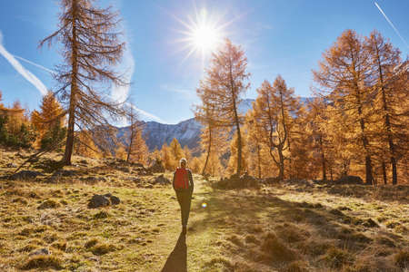 Woman hiking, rear view, Schnalstal, South Tyrol, Italy