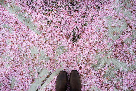 Point of view image of man with feet on blossomの写真素材