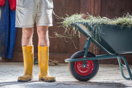 Waist down view of young male farmworker in yellow rubber bootsの写真素材