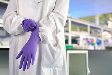 Cropped view of scientist in laboratory putting on latex glovesの写真素材