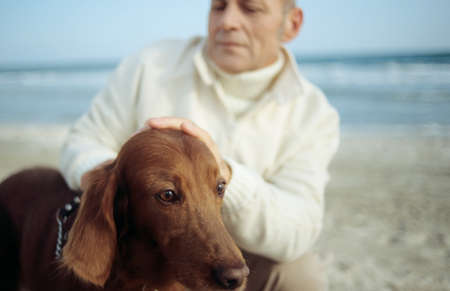Senior man stroking dog