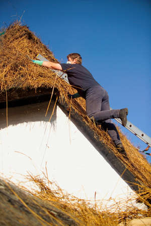 Thatched roof installationの写真素材