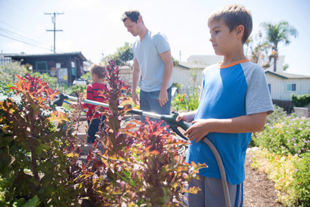 Boy with brother and father spraying plants in allotmentの写真素材
