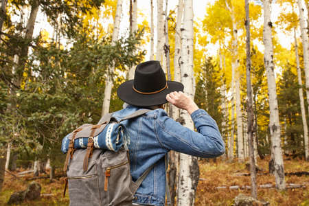 Woman hiking through rural setting, rear view, Flagstaff, Arizona, USA