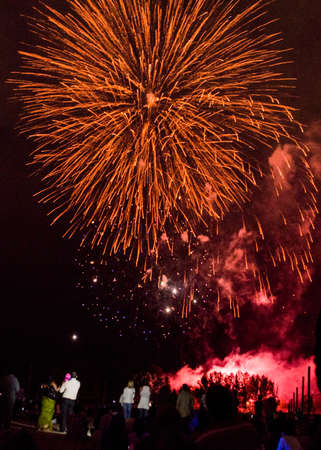 Crowd of people watching fireworks, Canada Day, Toronto, Ontario, Canadaのeditorial素材
