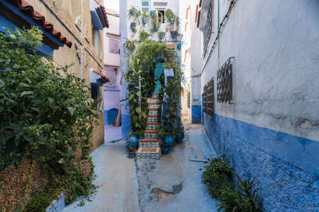 Morocco, Chefchaouen, Narrow alley and traditional blue houses with plantsのeditorial素材