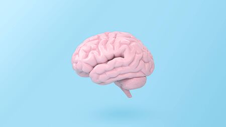 minimal pink brain in front view on blue background, thinking comic speech bubble. 3d rendering - illustration.の写真素材