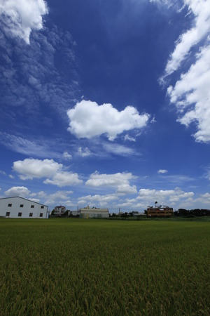 Under sunny blue sky and white cloudsのeditorial素材