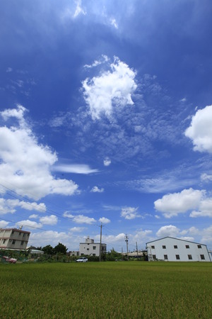 Under sunny blue sky and white cloudsのeditorial素材