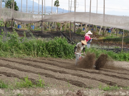 Farmers workの写真素材