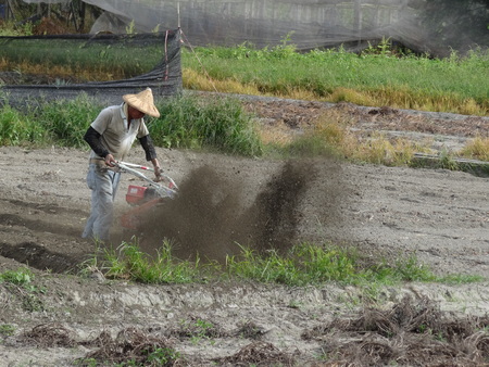 Tiller dig in,Farmers work,の写真素材