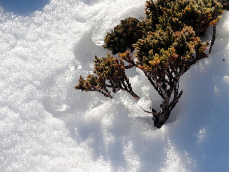 Taiwan Attractions - nanhu Mountain winterの写真素材