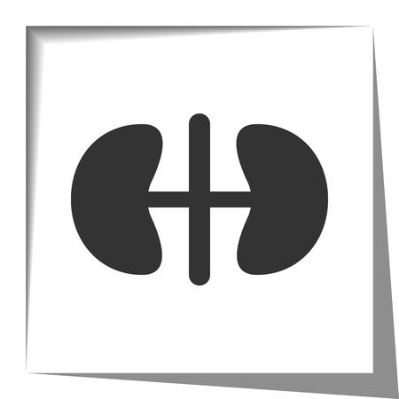 Kidneys icon with cut out shadow effectのイラスト素材