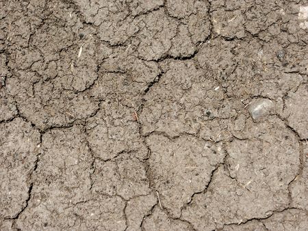 Dry dirtの写真素材