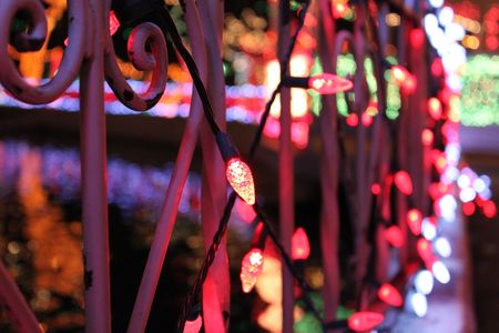 Closeup of Christmas lights near a pondの写真素材