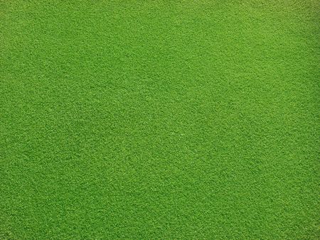 Very smooth grass for backgroundの写真素材