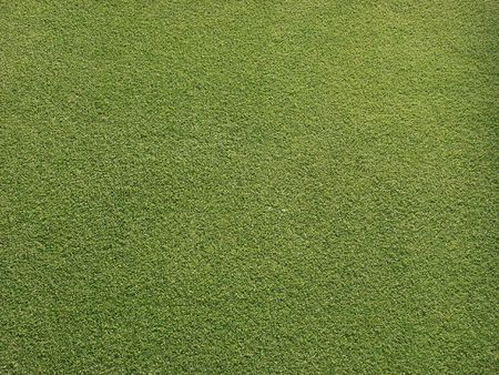 Smooth green grass on golf courseの写真素材