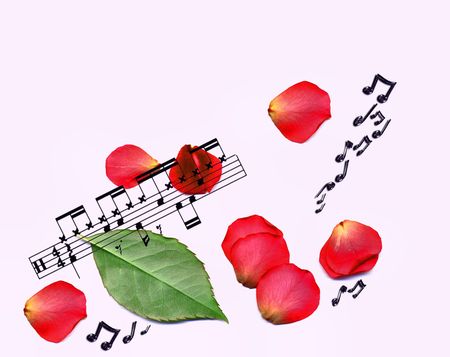 MUSIC NOTES AND PETALSの写真素材