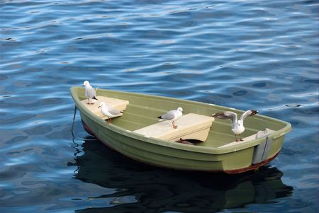 SEAGULLS IN A BOATの写真素材