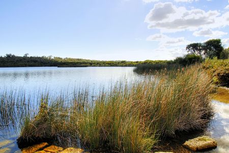 Lake Landscape の写真素材