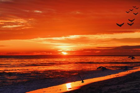 Beach Sunset