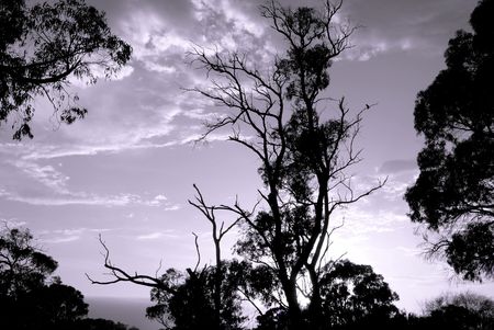 B&W Landscapeの写真素材