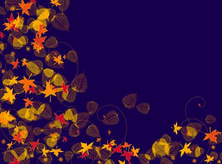 Leaf Backgroundの写真素材