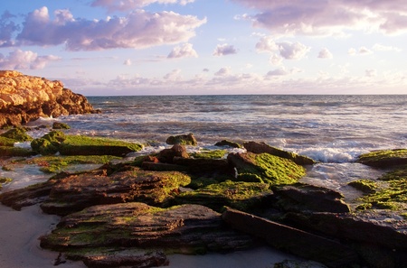 Sunset Coastの写真素材