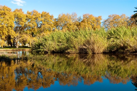 Autumn lake  Landscapeの写真素材