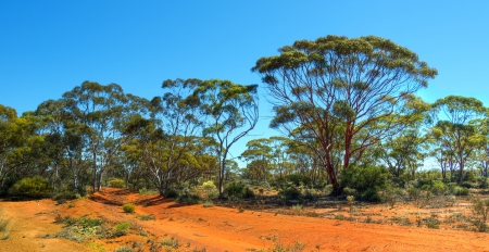 Kalgoorlie landscape Western Australiaの写真素材