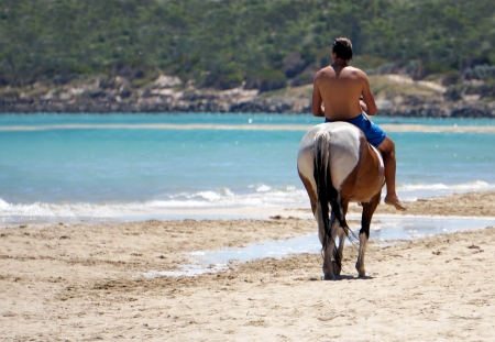 Man riding a horse at the beach の写真素材