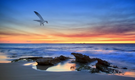Australian Coastline の写真素材
