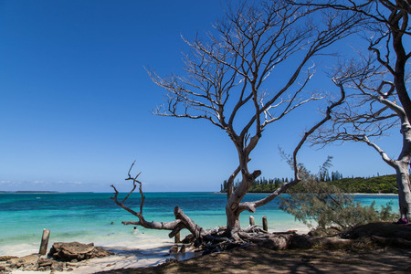 Island Landscapeの写真素材