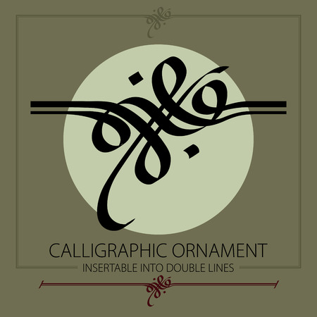 Hand drawn calligraphic ornament, insertable into double lines. Design for any decorative Purposes.のイラスト素材