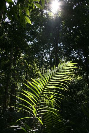 Khao Yai National Park, Thailand