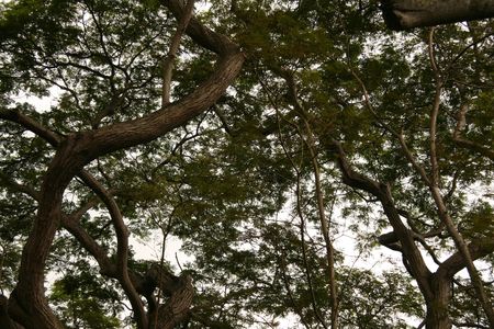 Fort Canning Park, Singapore