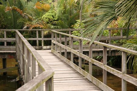 Bridge - Botanical Gardens, Singaporeの写真素材