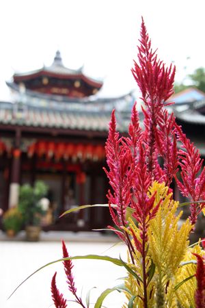 Thian Hock Keng Temple, Singaporeの写真素材