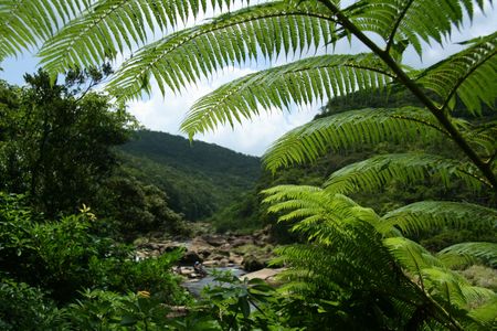 Mariyudo Waterfall Trek, Iriomote Island, Okinawa, Japanの写真素材