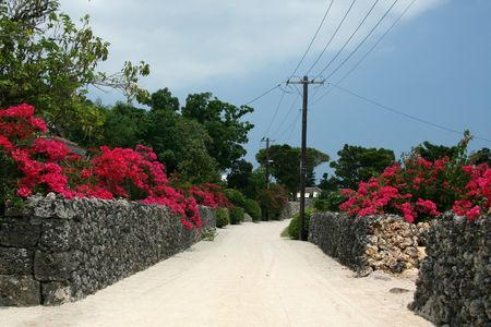 Taketomi Island , Okinawa, Japanの写真素材