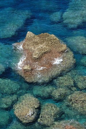 Coral Reef - Yonaguni Island, Okinawa, Japanの写真素材