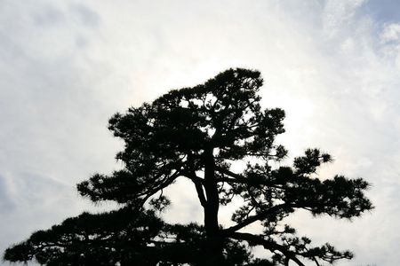 East Palace Gardens, Tokyo, Japanの写真素材