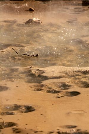 Bubbling Hot Spring - South Island, New Zealand