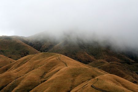 Marlborough Sound, New Zealandの写真素材